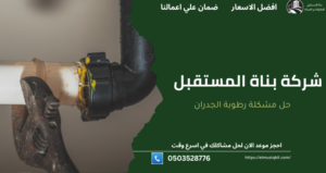 معالجة رطوبة الجدران